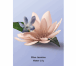 Victoria’s Secret Blue Jasmine Water Lily Roll-on Deodorant 50ml - Imagem 2